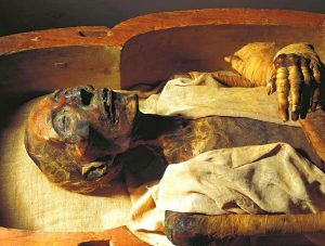 Ramses - II - Mummy - Museum - Blond - Caucasian - Myth -