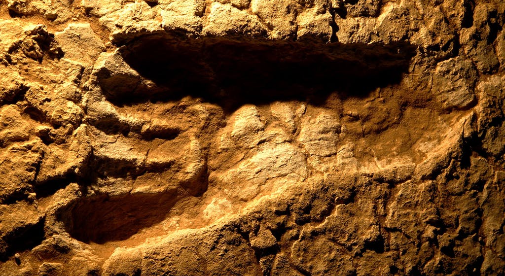 20,000-Year-Old Human Footprints Discovered in Australia