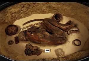 Turin Mummy S. 293 (RCGE 16550). Dorsal view (Egyptian Museum, Turin)