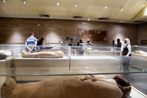 Finding Nefertiti Mummy 2