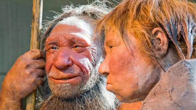 neandertal-