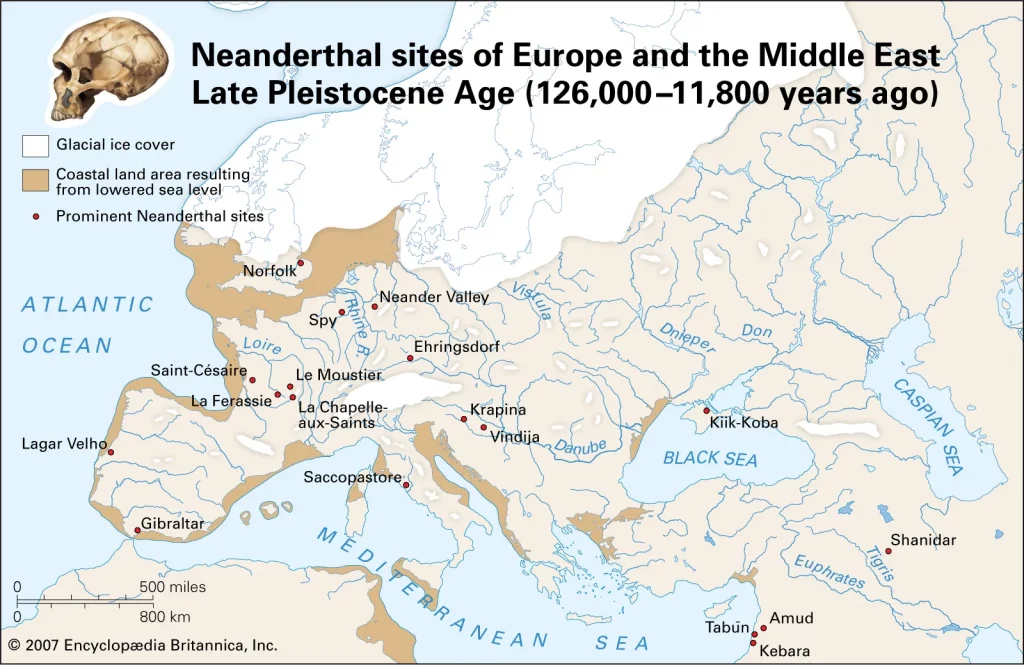 article-site-Neanderthal-label