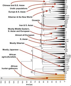 Haplogroups map