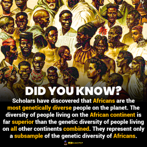 genetic diversity Africans