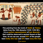 Afro hair tomb of nakht wine diversity kinky dread locs wavy