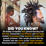 Kemetic hair dread locs Afro kinky Anu M'bantu Fari Supia Zulu Aboriginals
