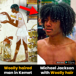 Michael Jackson Wooly hair Afro