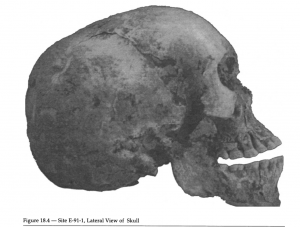 Nabta Playa Skull 2 mrimhotep.org