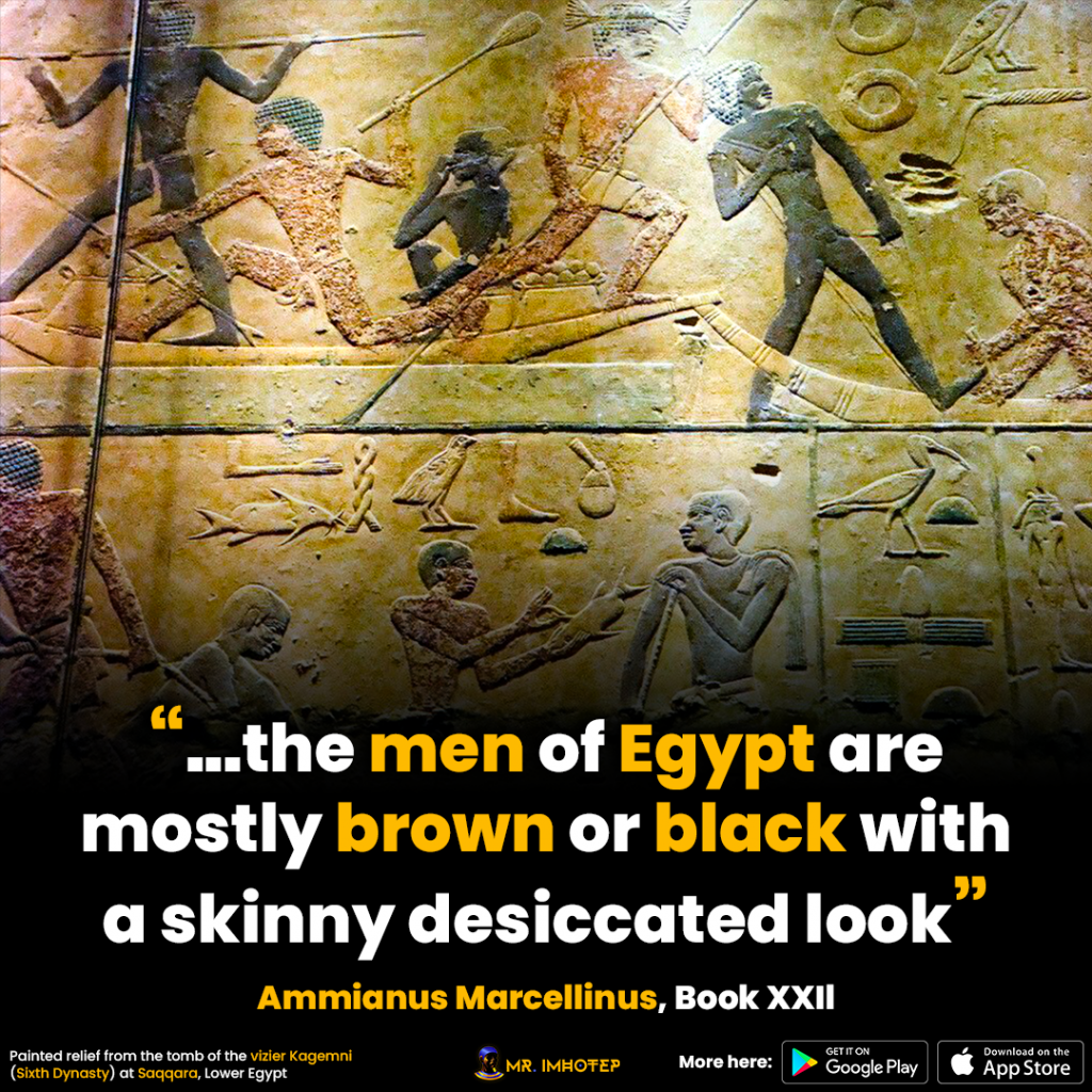 Quote - the men of Egypt are mostly brown or black with a skinny desiccated look” Ammianus Marcellinus, Book XXIl Kagemni vizier tom skin color diversity boat fish fishermen